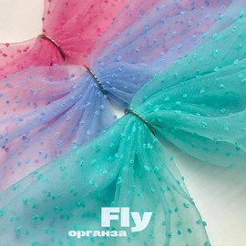 FLY Изображение whatsapp 2025-11-10 в 17.39.14_e6bb73fb