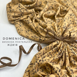 Domenica file20210104092533_mon0713