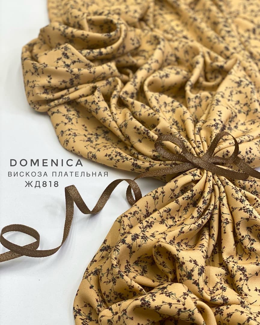 Domenica file20210104092533_mon0713