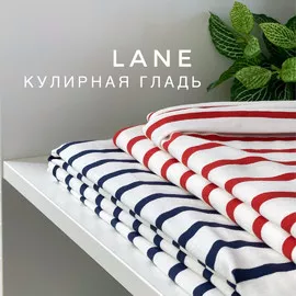 LANE file20210423013100_28