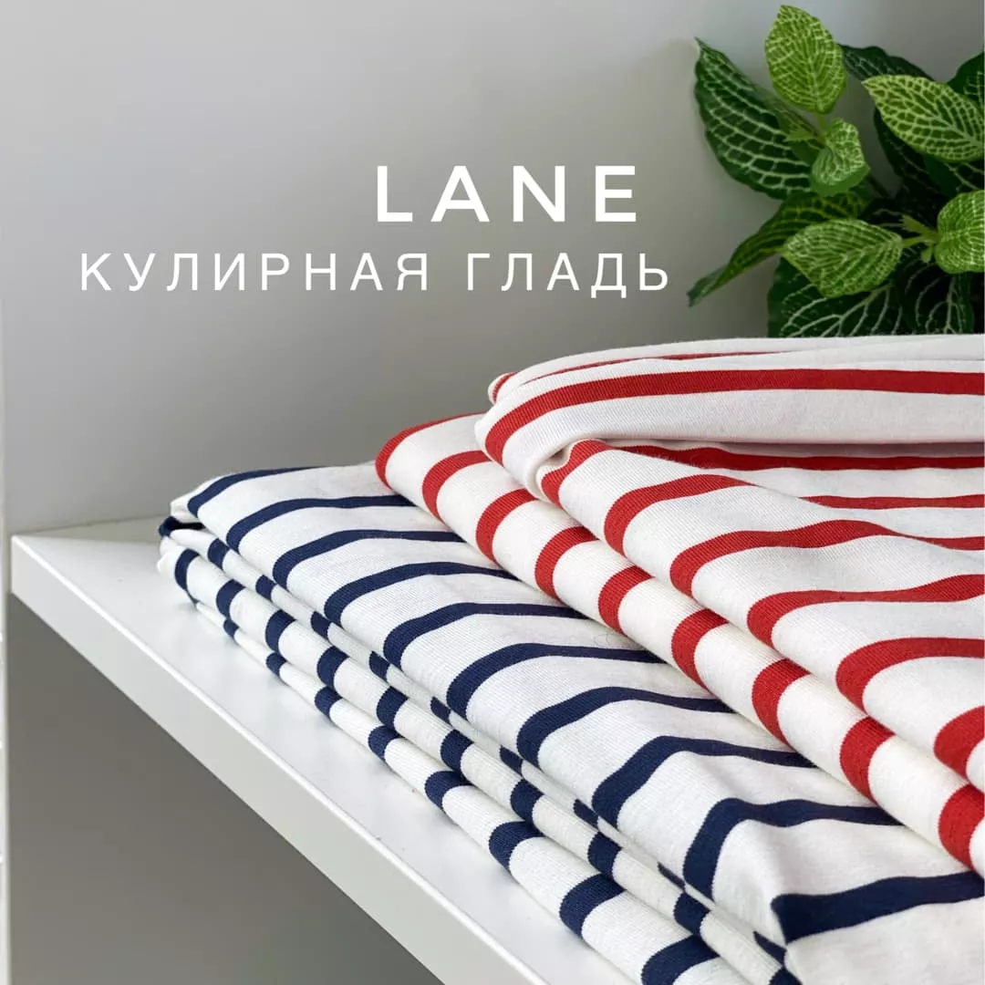 LANE file20210423013100_28