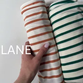 LANE image-15097-20220419103540