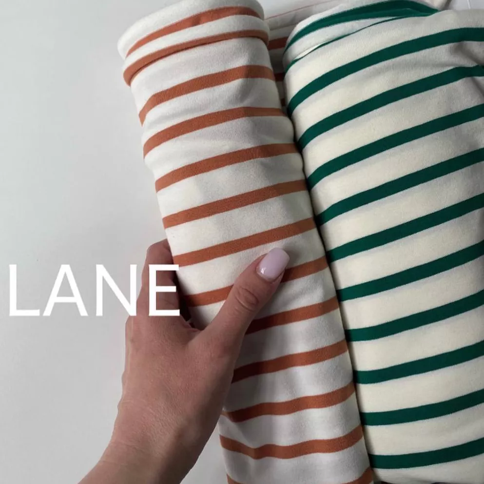 LANE image-15097-20220419103540