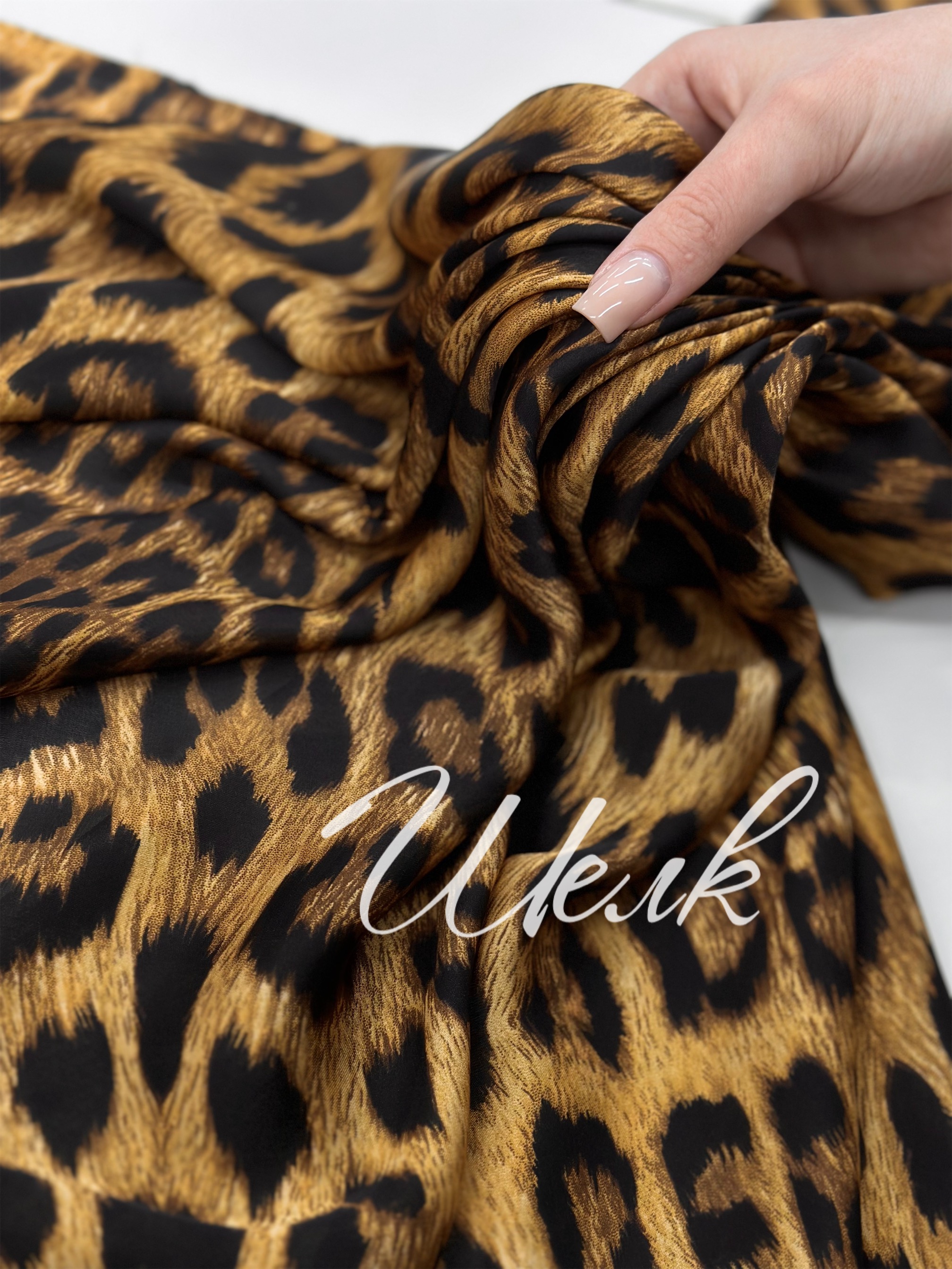 Мелкий Лео img_9885