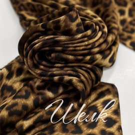 Мелкий Лео img_9888