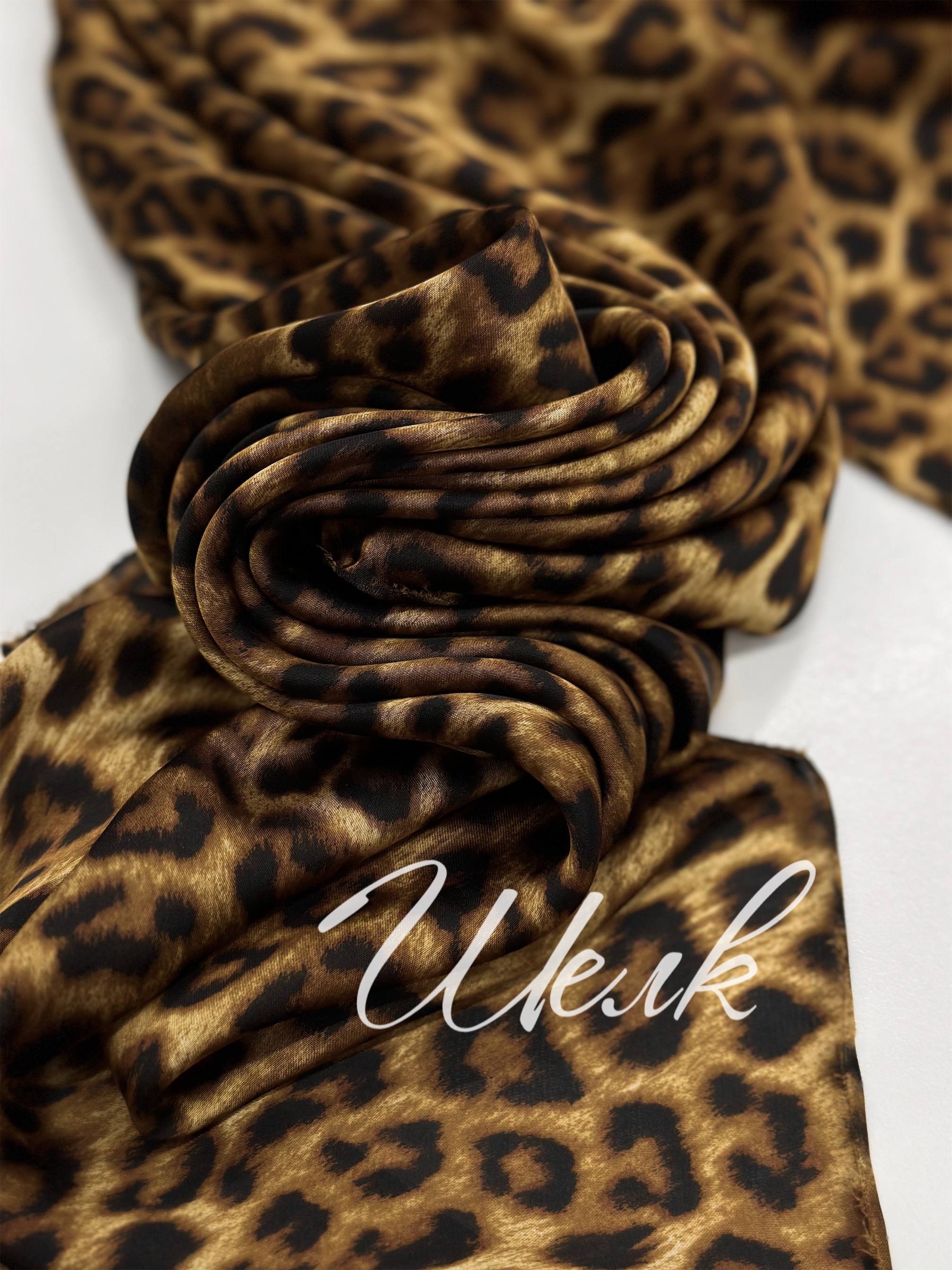 Мелкий Лео img_9888