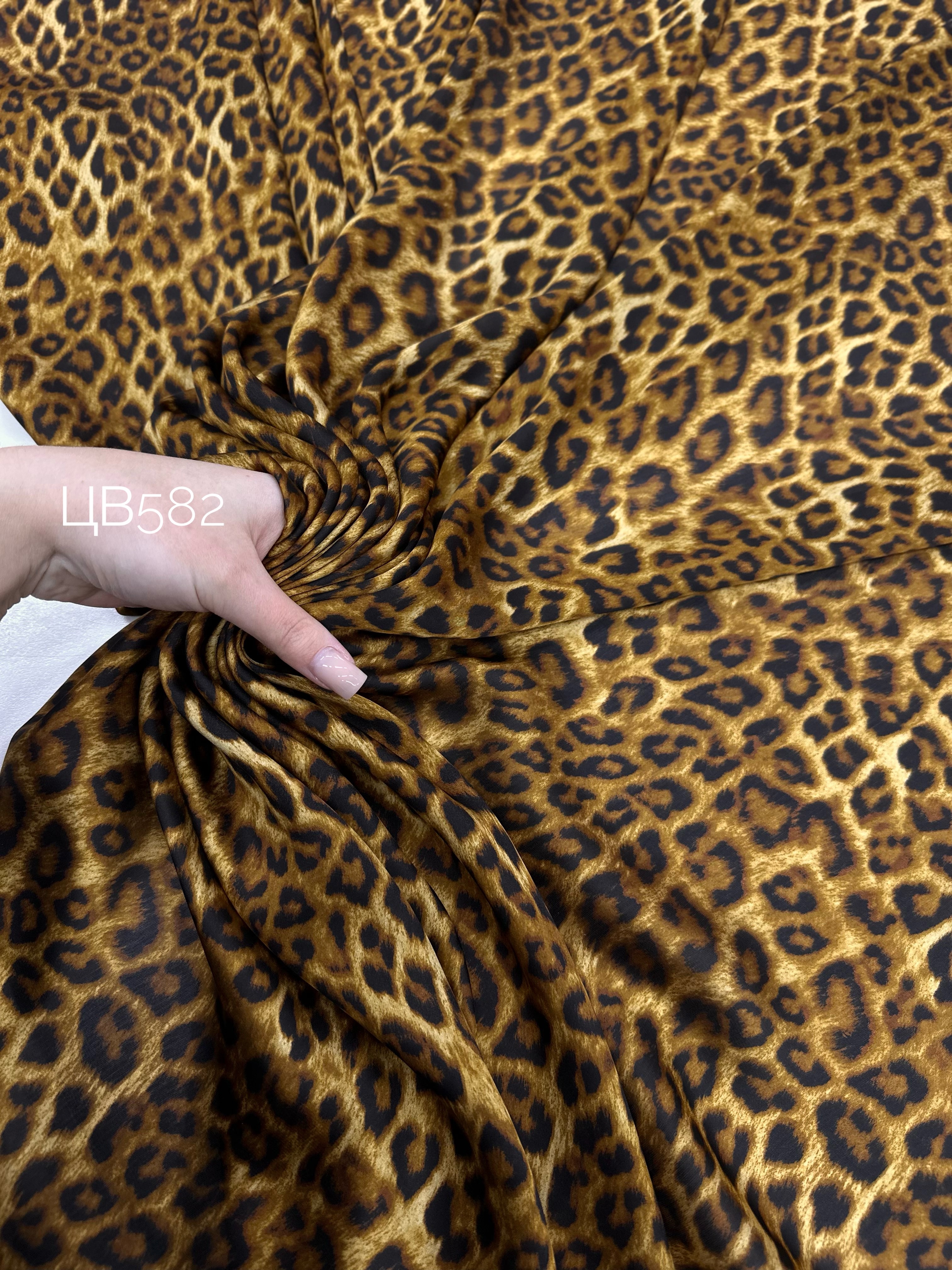 Мелкий Лео img_9889898989