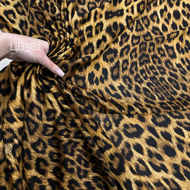 Мелкий Лео img_988999