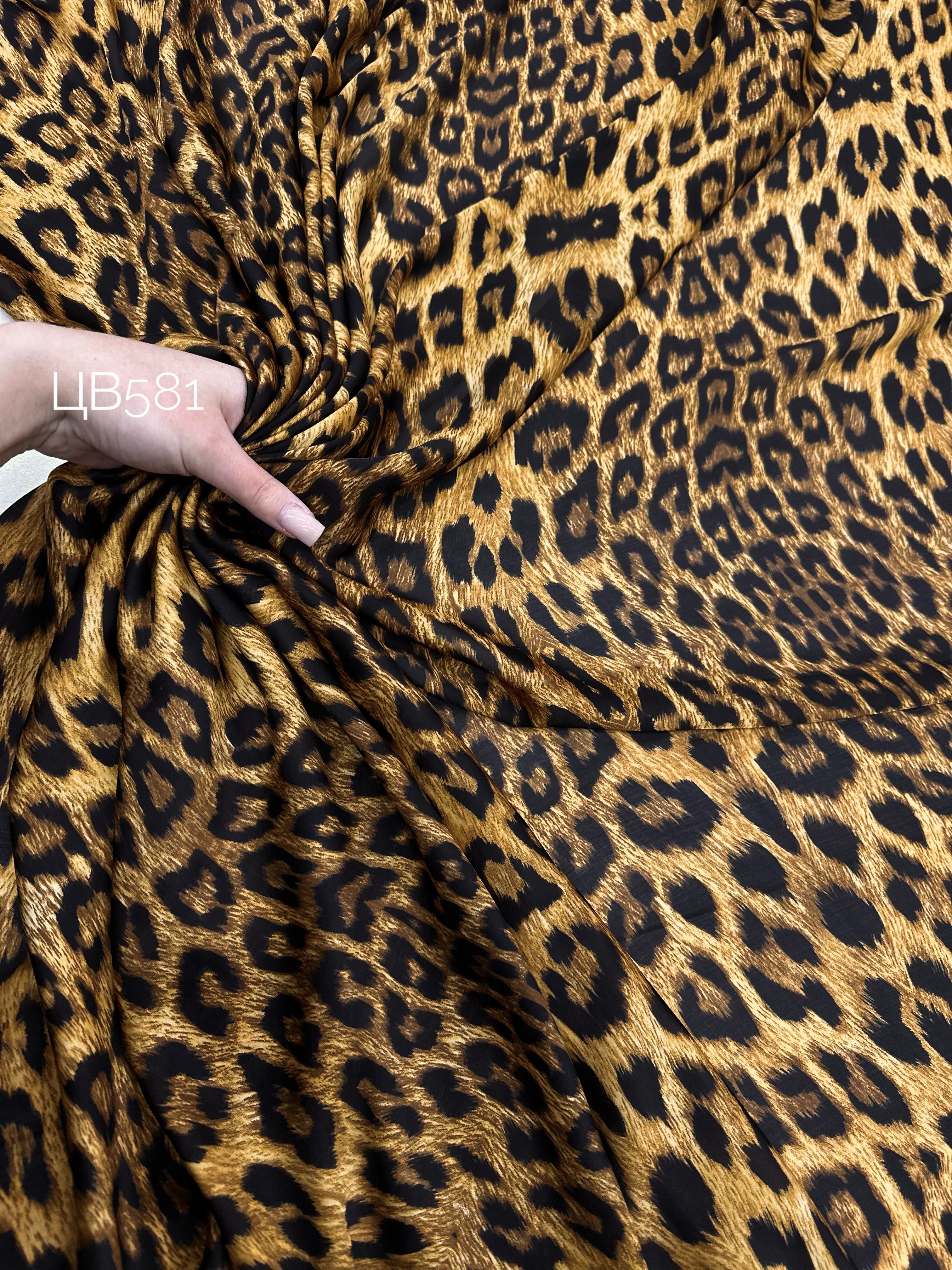 Мелкий Лео img_988999