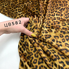 Мелкий Лео photo_2024-03-12_18-11-18