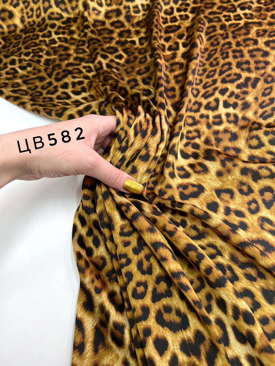 Мелкий Лео photo_2024-03-12_18-11-18