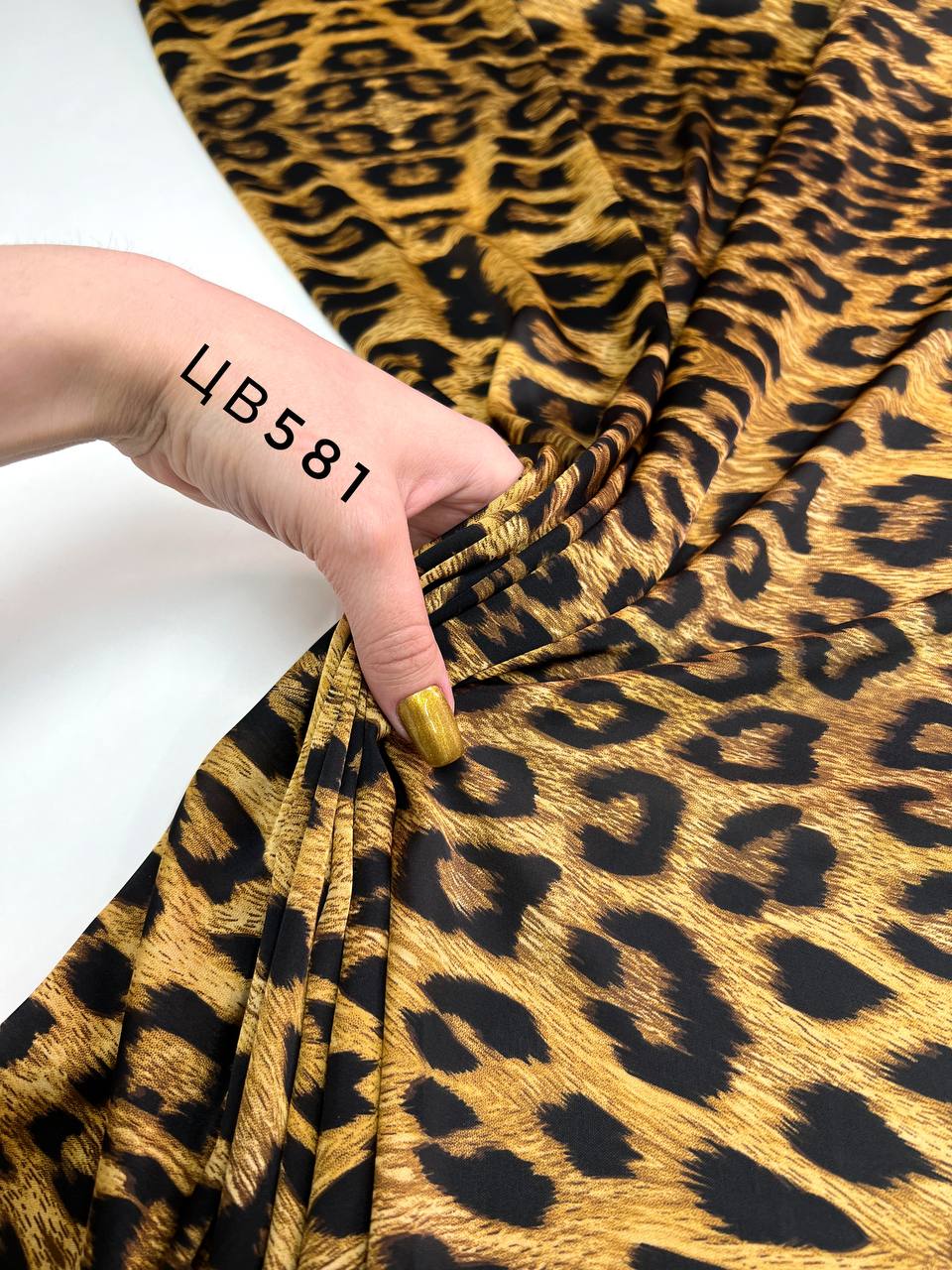 Мелкий Лео photo_2024-03-12_18-11-20