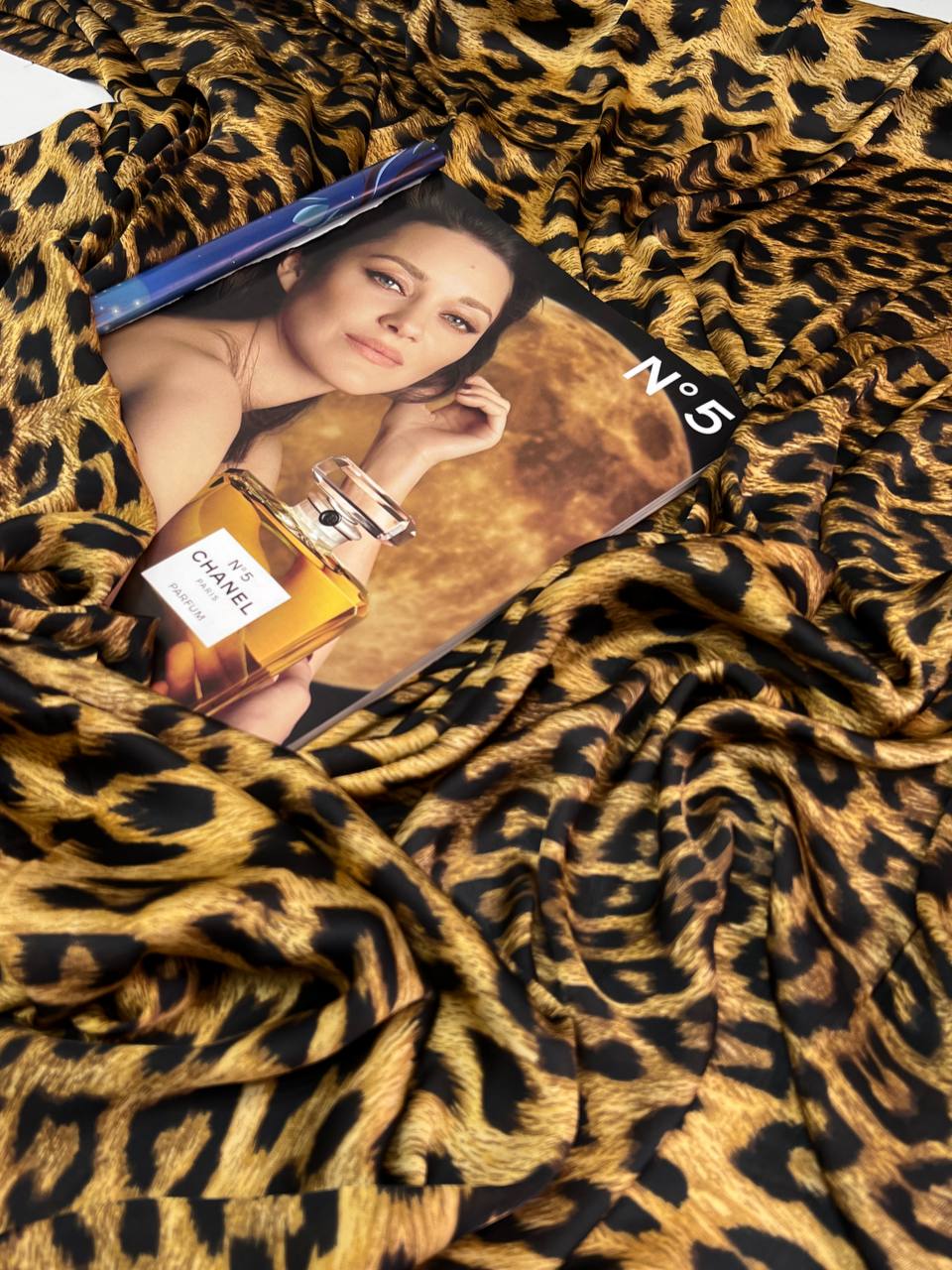 Мелкий Лео photo_2024-03-12_18-11-23