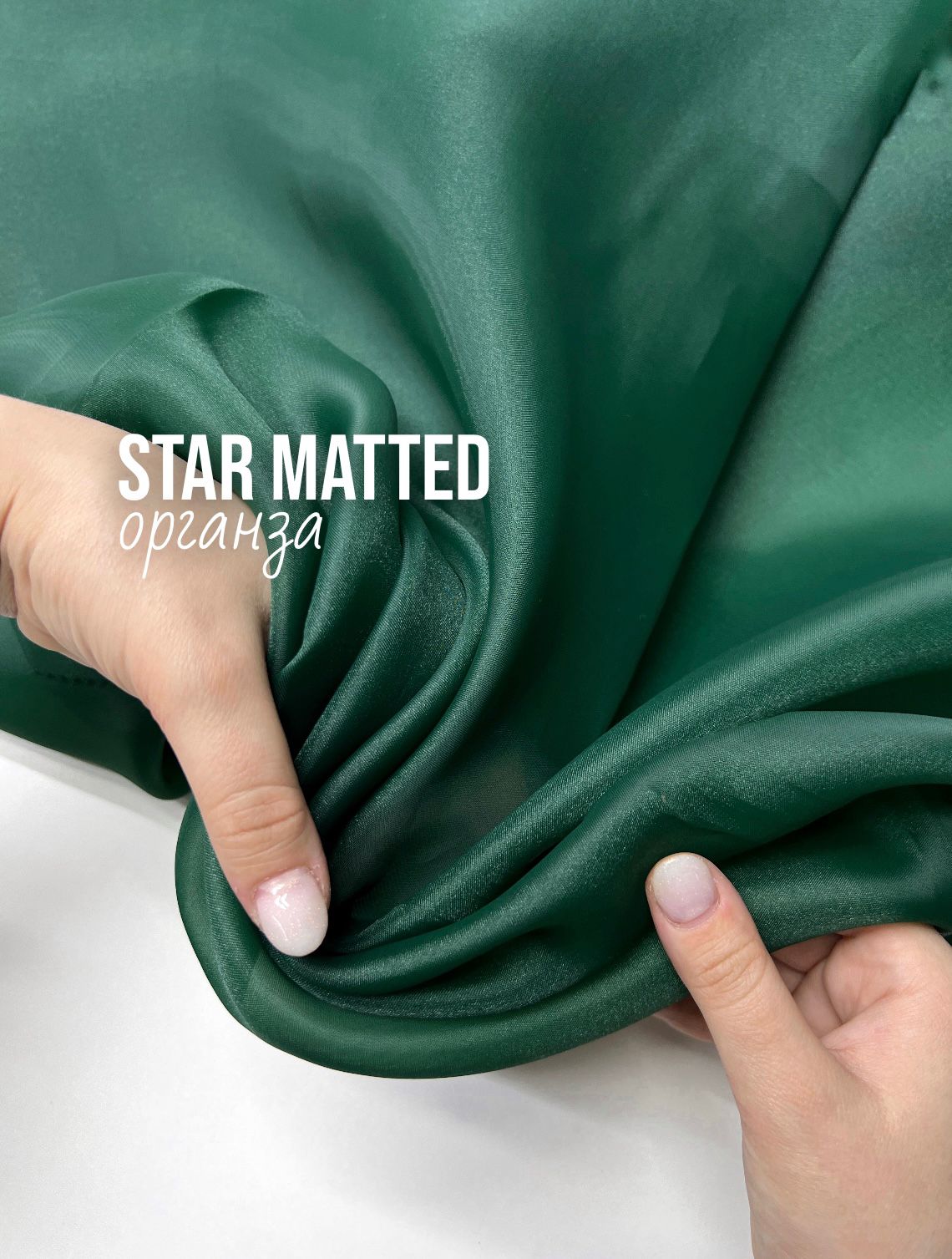 Сирень  whatsapp image 2025-11-19 at 17.55.53