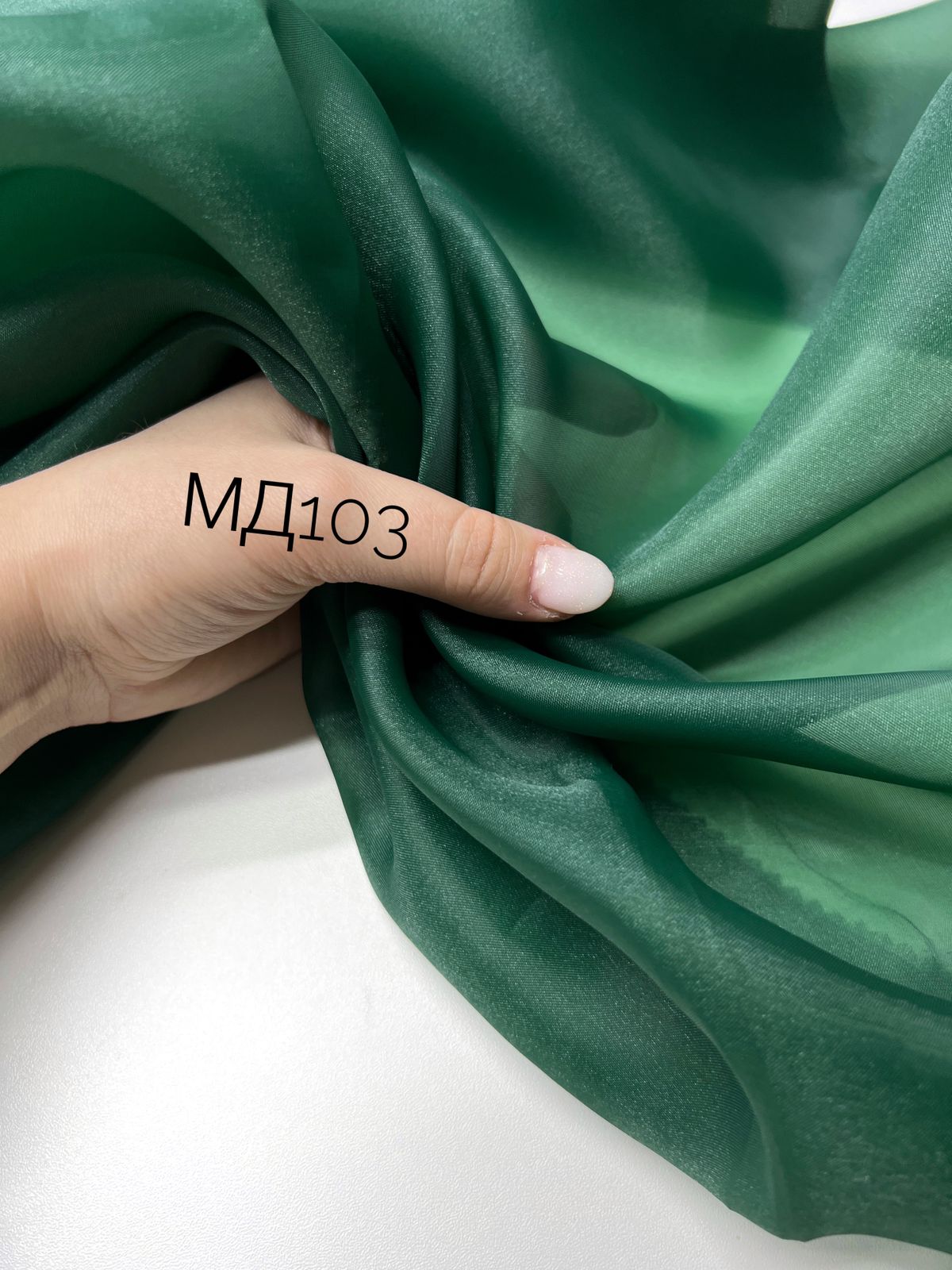 Сирень  whatsapp image 2025-11-19 at 17.55.541