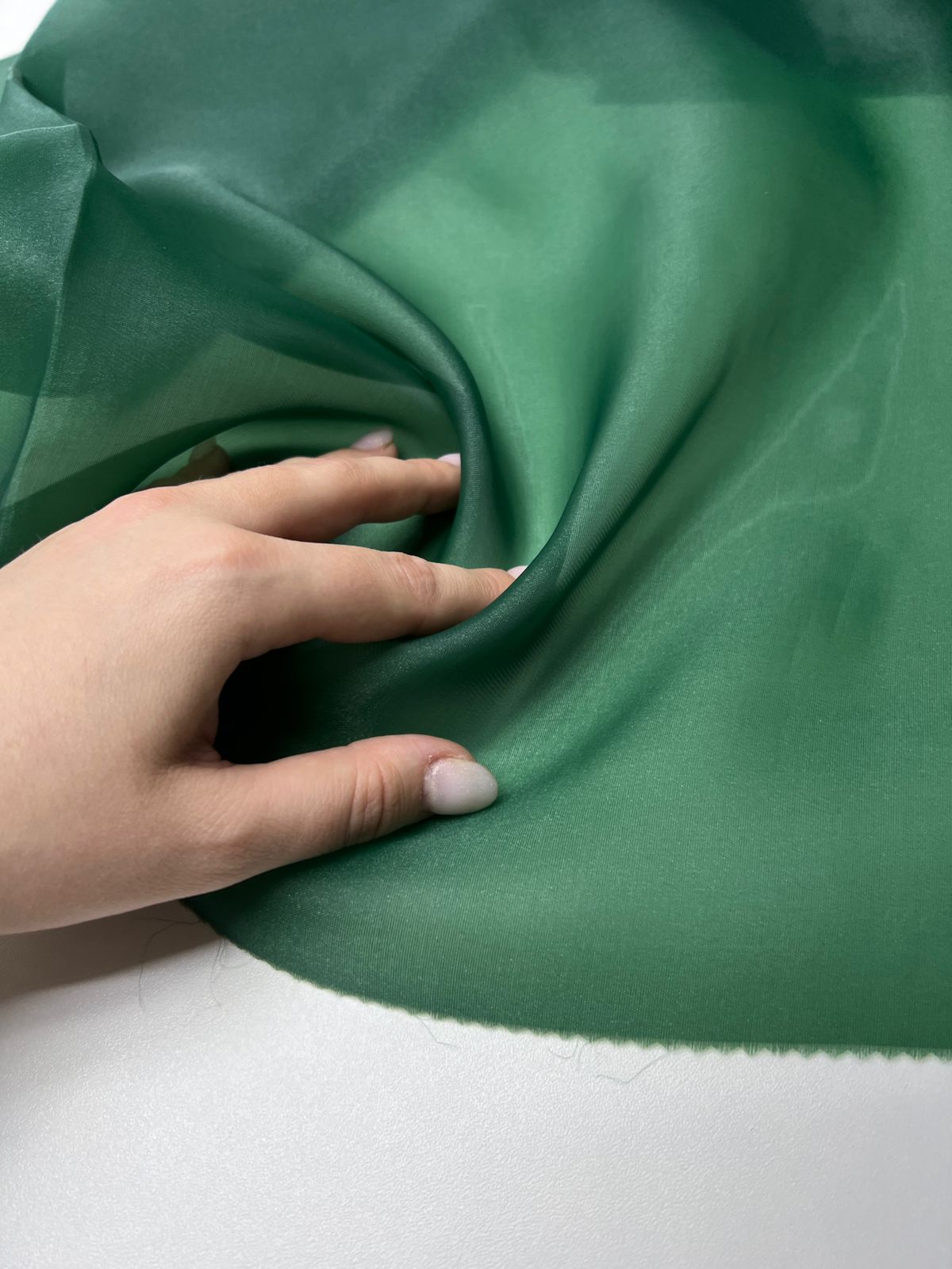 Сирень  whatsapp image 2025-11-19 at 17.56.05