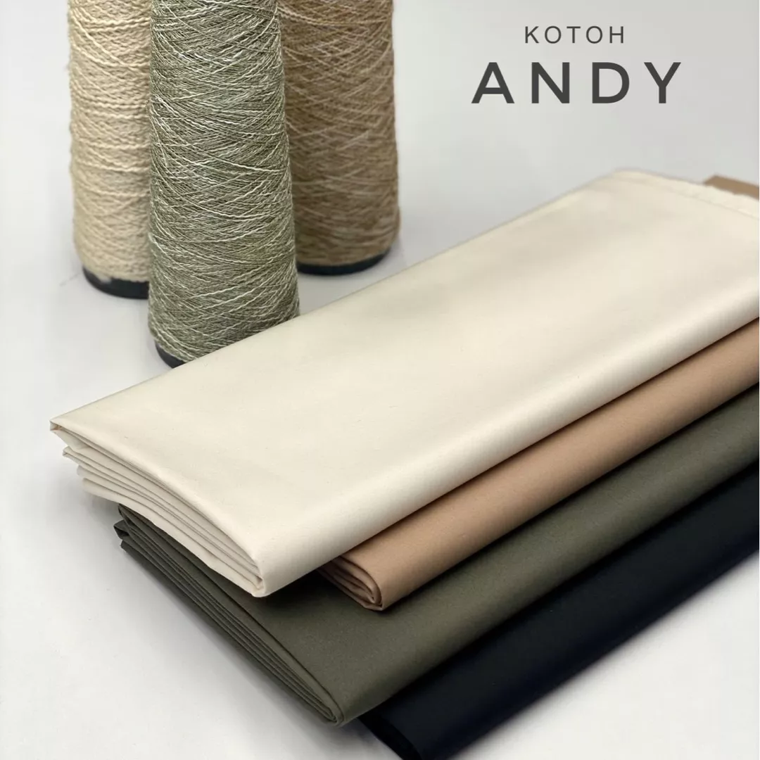 ANDY image-20706-20211208101959