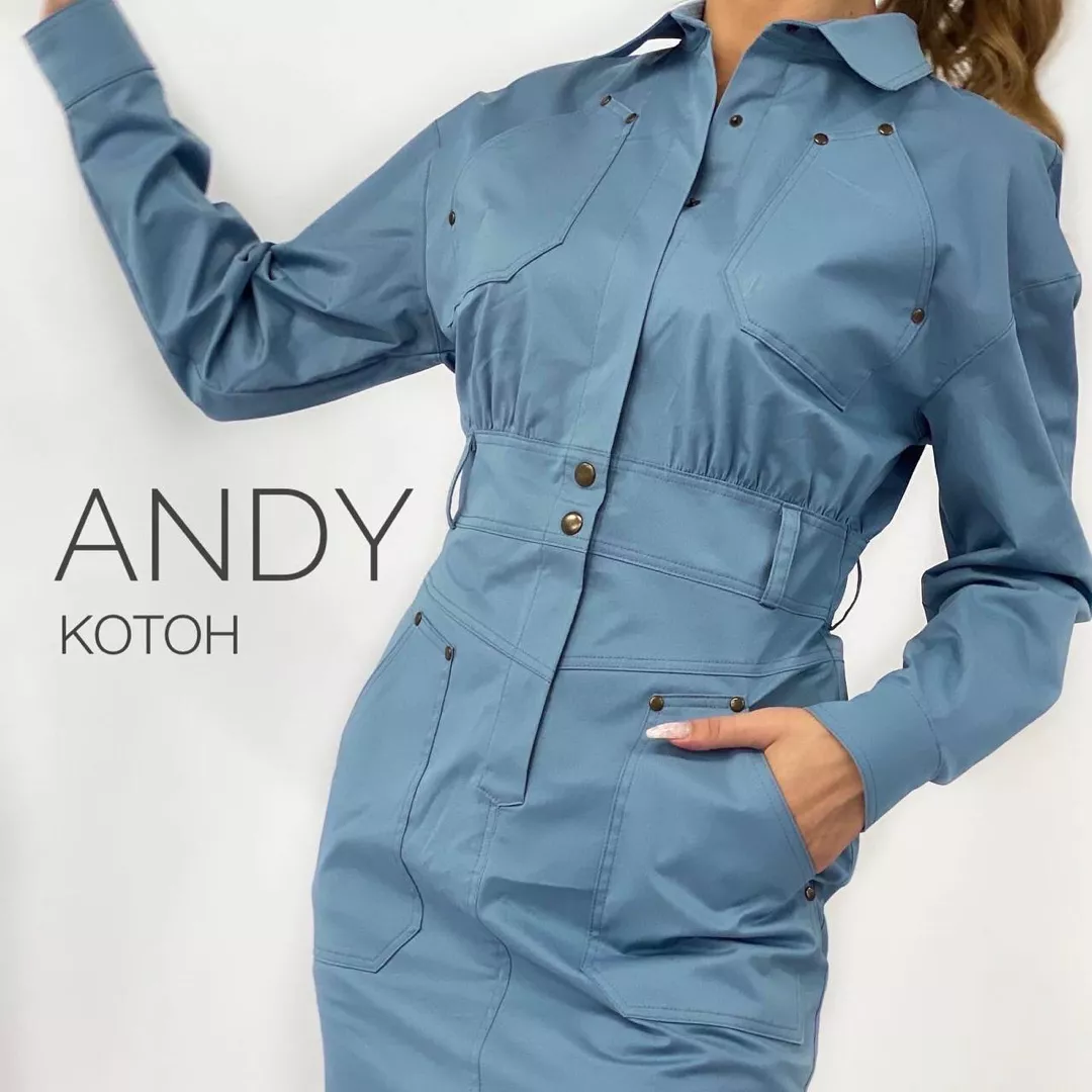 ANDY image-20706-20220811163529