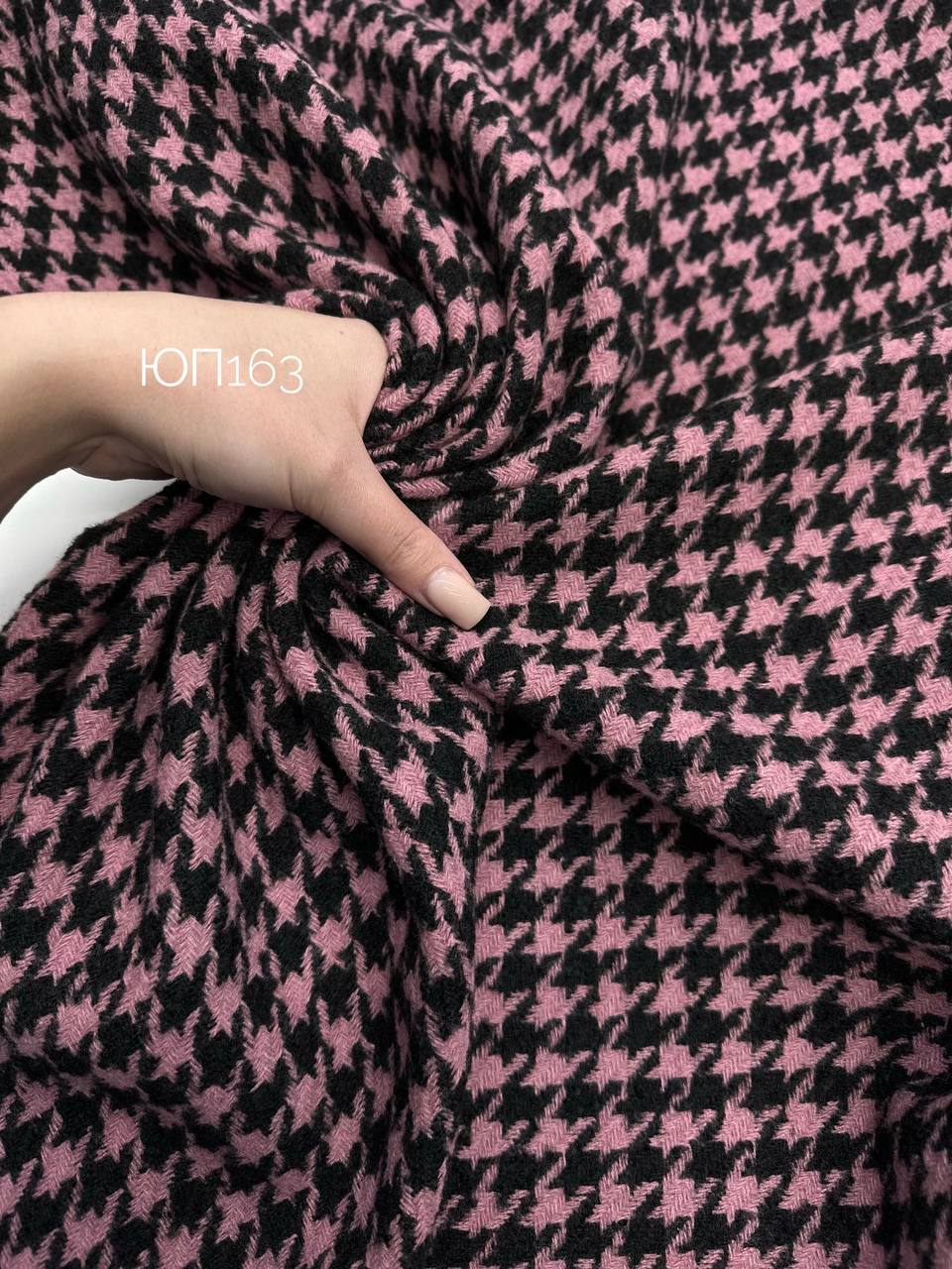 Гус. лапка photo_2025-12-16_15-38-05