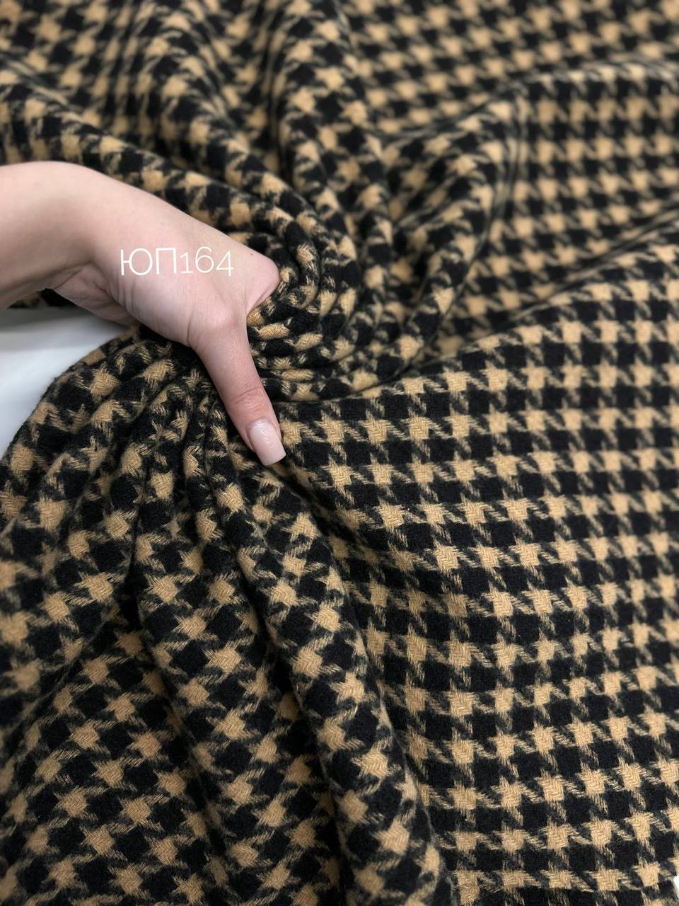 Гус. лапка photo_2025-12-16_15-38-16