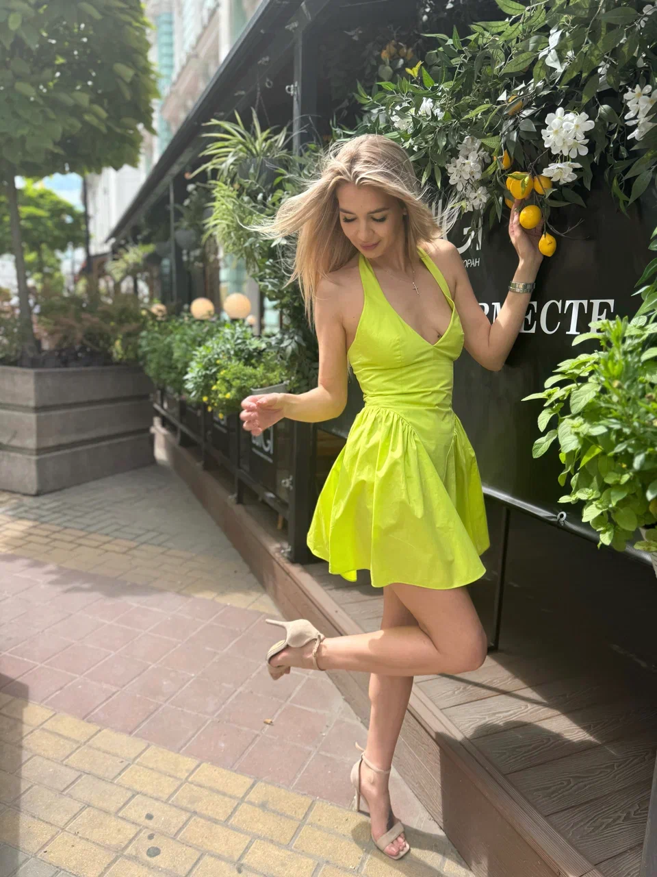 Фуксия img_5760