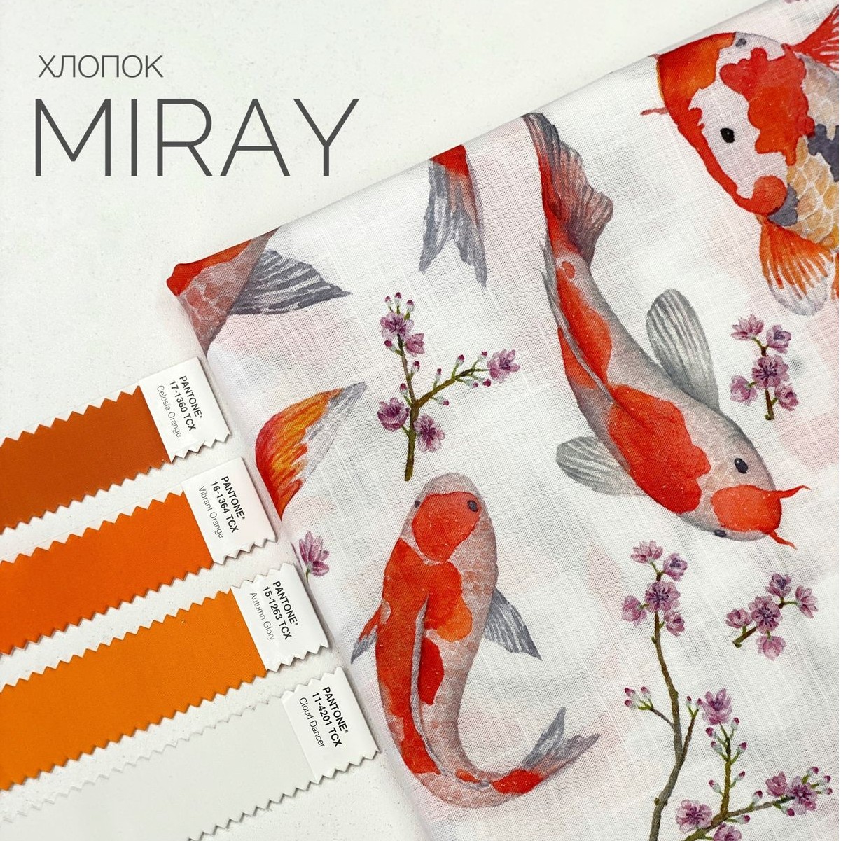 MIRAY Изображение whatsapp 2023-03-23 в 16.21.03