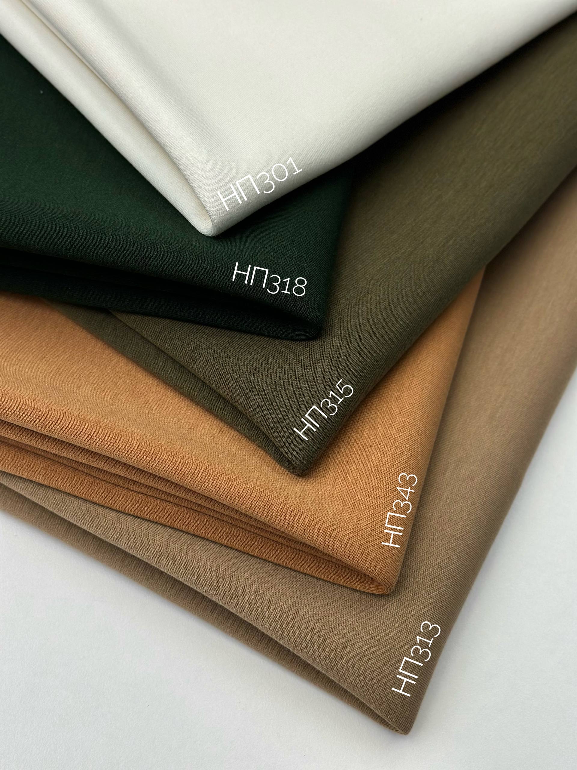 SOFT photo_2026-02-25_10-24-30