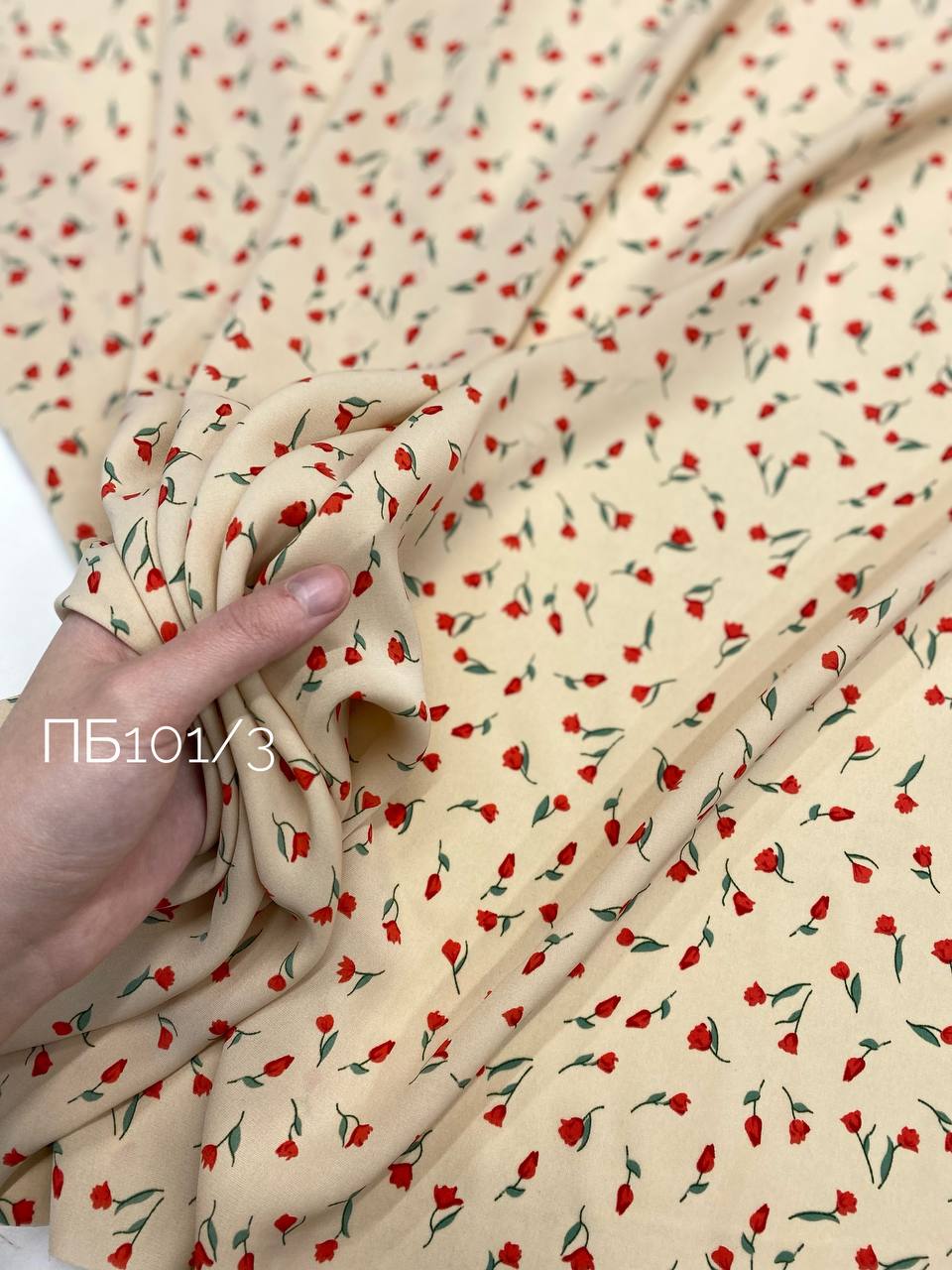 На персиковом photo_5208626455154642176_y