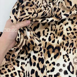Леопард photo_5296459425416074071_y