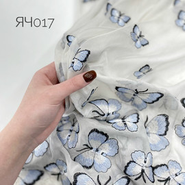 Голубые whatsapp-image-2024-04-01-at-13.18.55-(1)