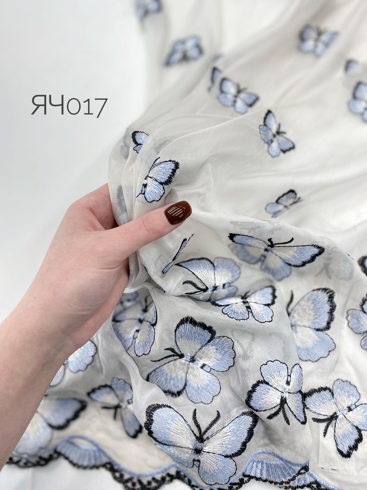 Голубые whatsapp-image-2024-04-01-at-13.18.55-(1)