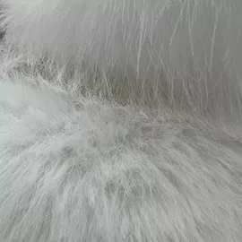 MOSSY whatsapp image 2024-05-06 at 16.04.15 (1)