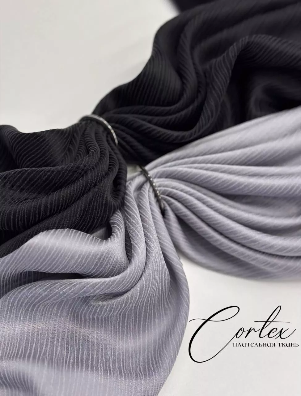 CORTEX photo_5321053877031787415_y