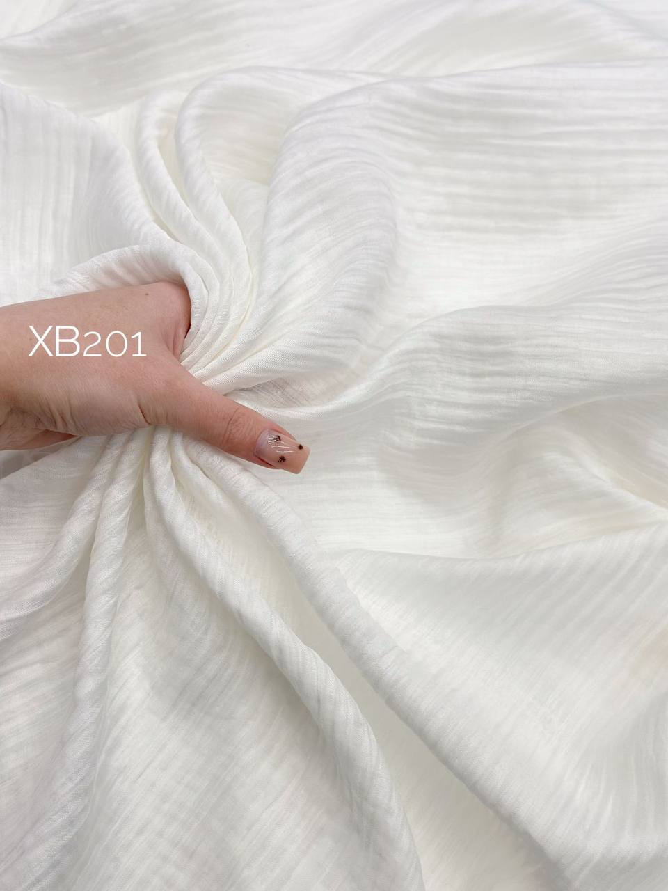 MIXED photo_2026-01-13_14-53-04