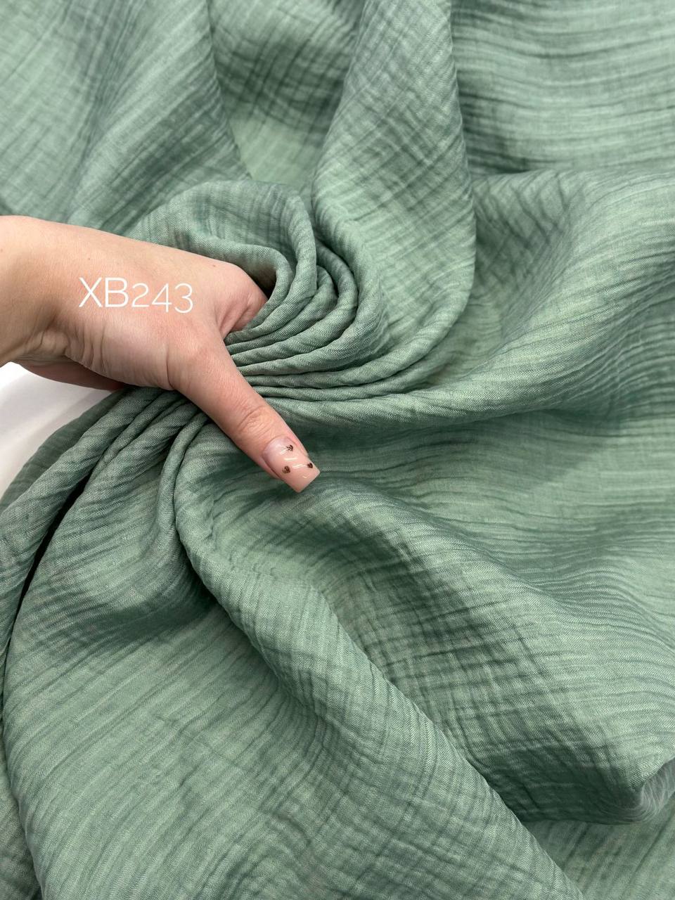 MIXED photo_2026-01-13_14-53-08