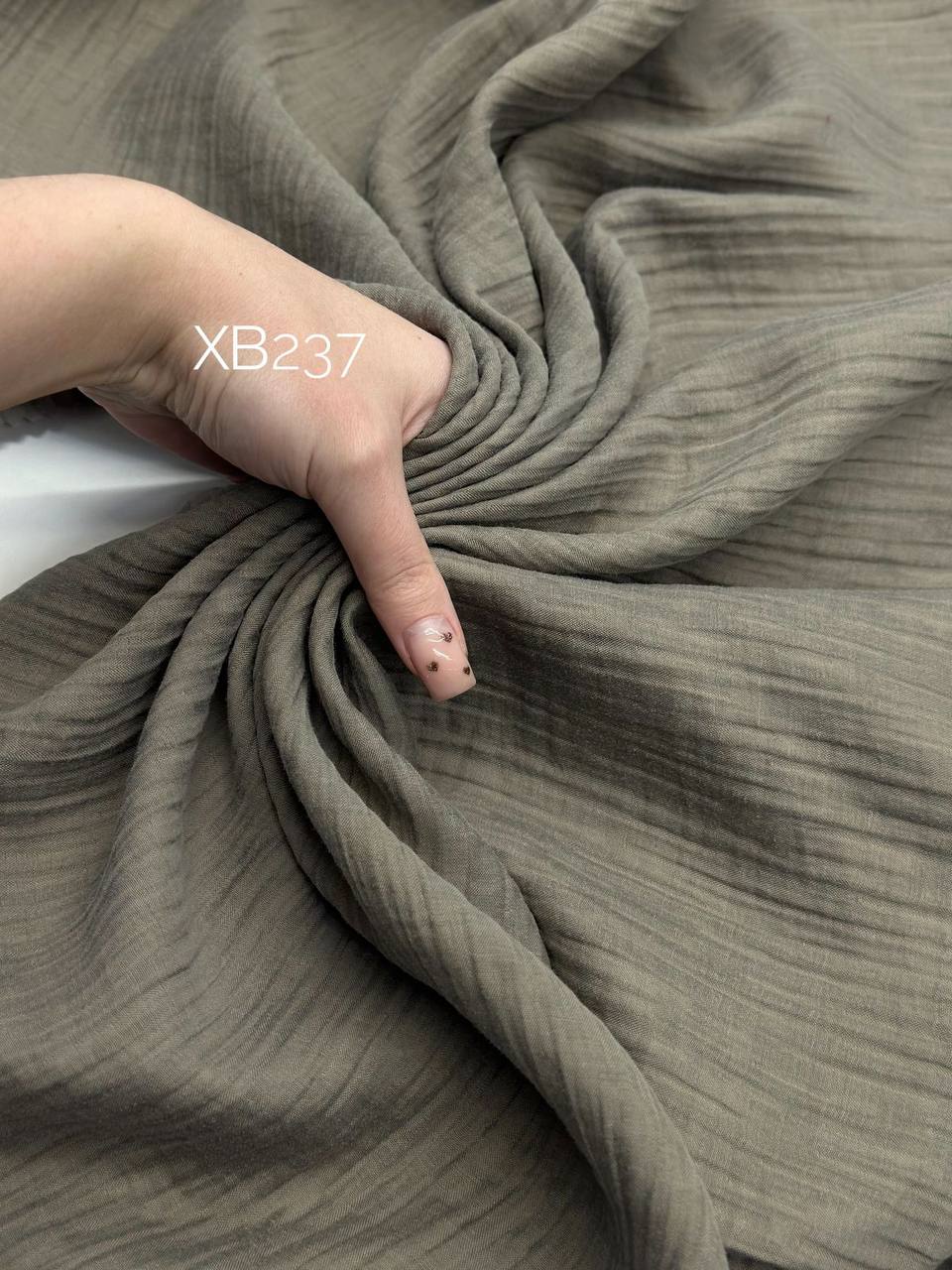 MIXED photo_2026-01-13_14-53-12