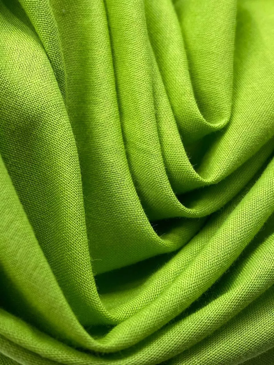 Салатный photo_5240091312550698498_y