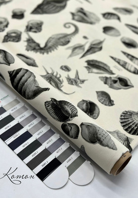 Котон Италия Ракушки Италия