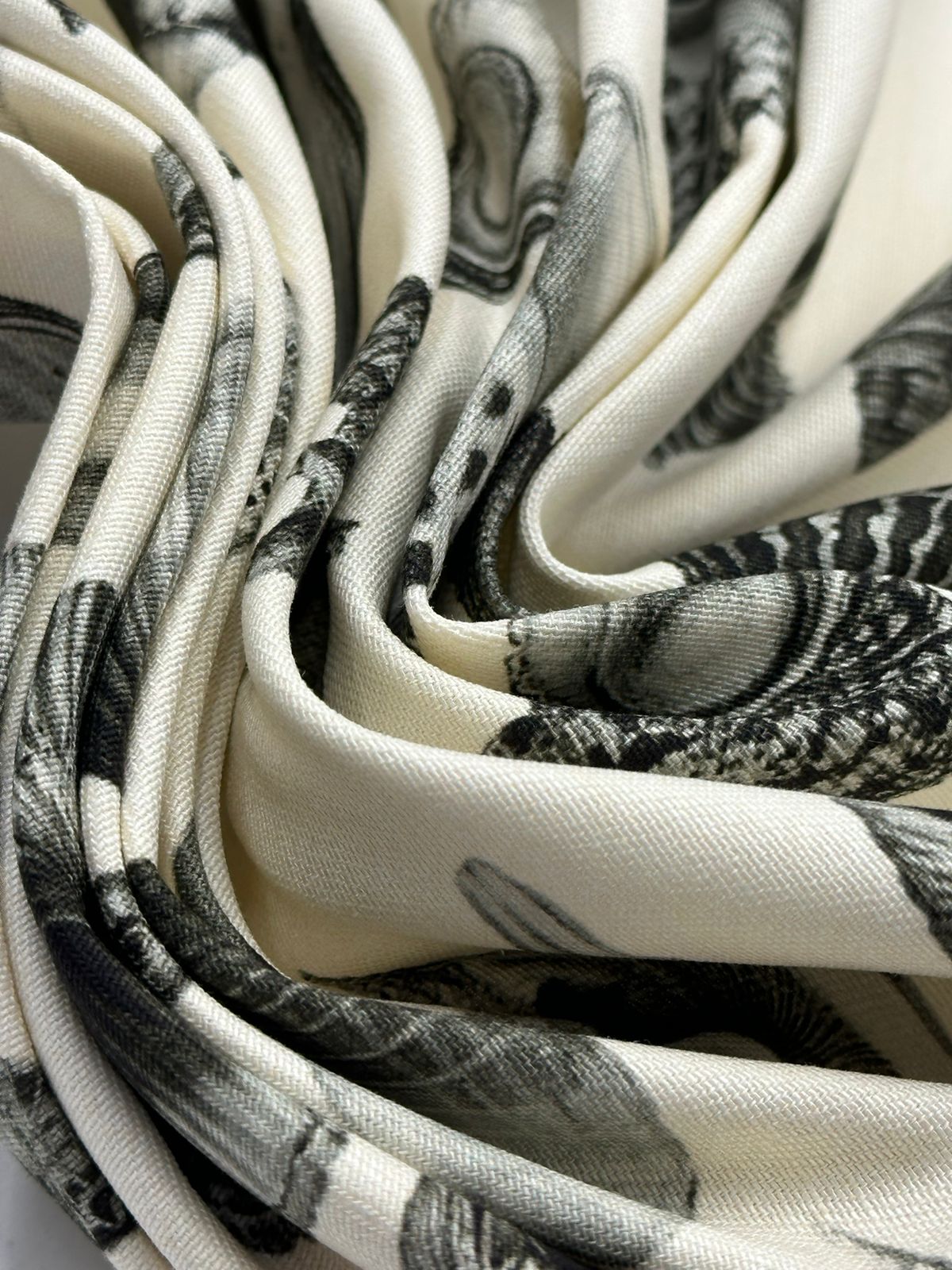 Ракушки 8e5162f8-f1ce-422d-a60f-e4e1327c82d5