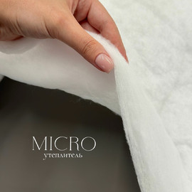 MICRO 4d2bbfc8-1fd0-4ddc-87f0-2ae9c51870a2
