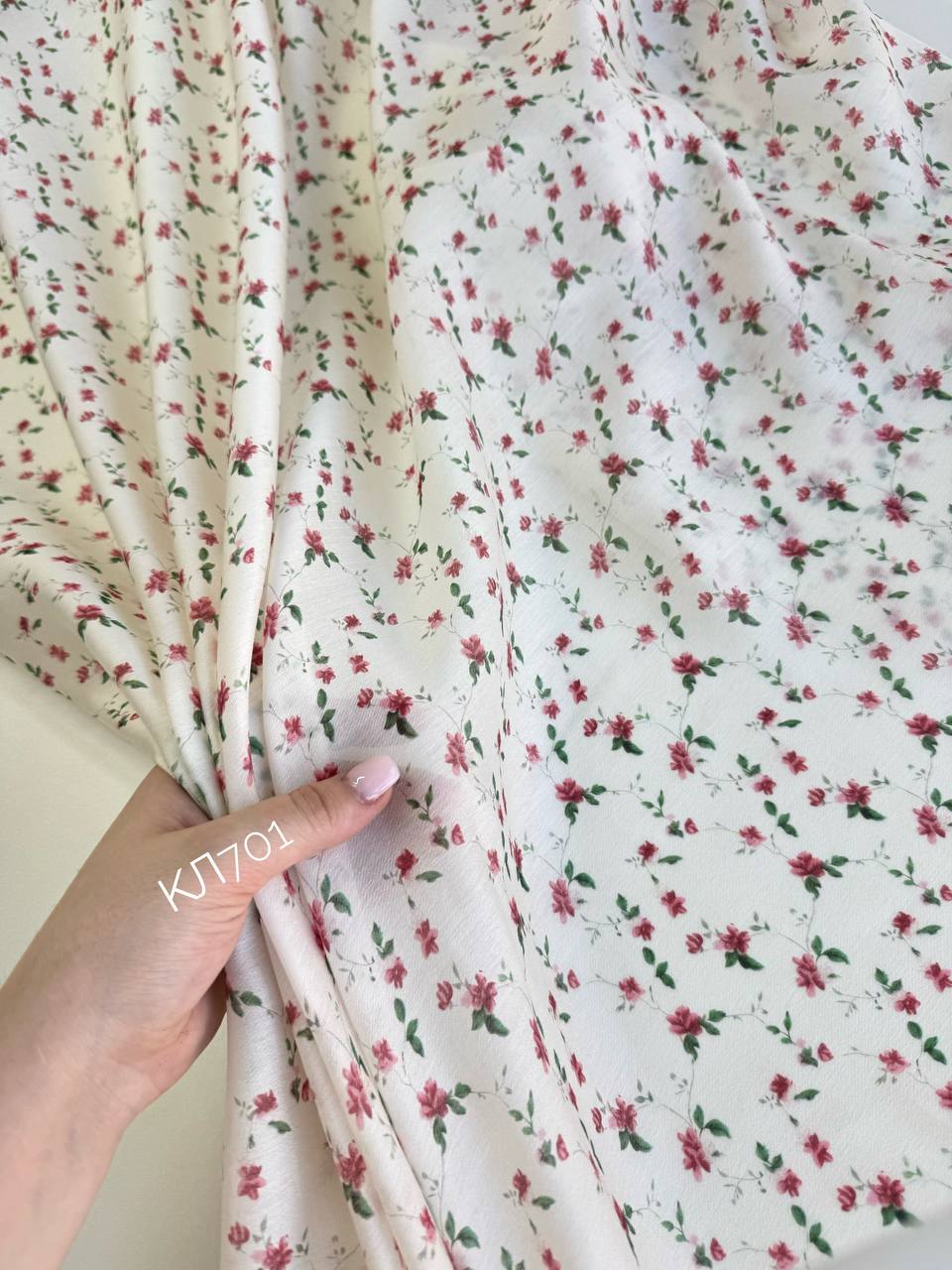 Вьюнок photo_2026-04-01_11-37-51 (2)