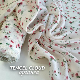 Вьюнок photo_2026-04-01_11-37-51