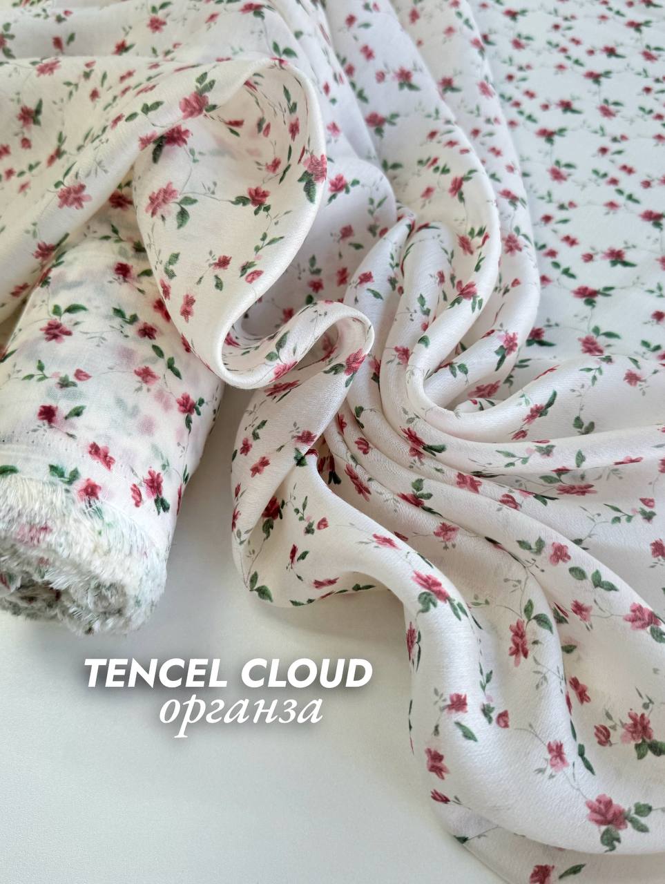 Вьюнок photo_2026-04-01_11-37-51