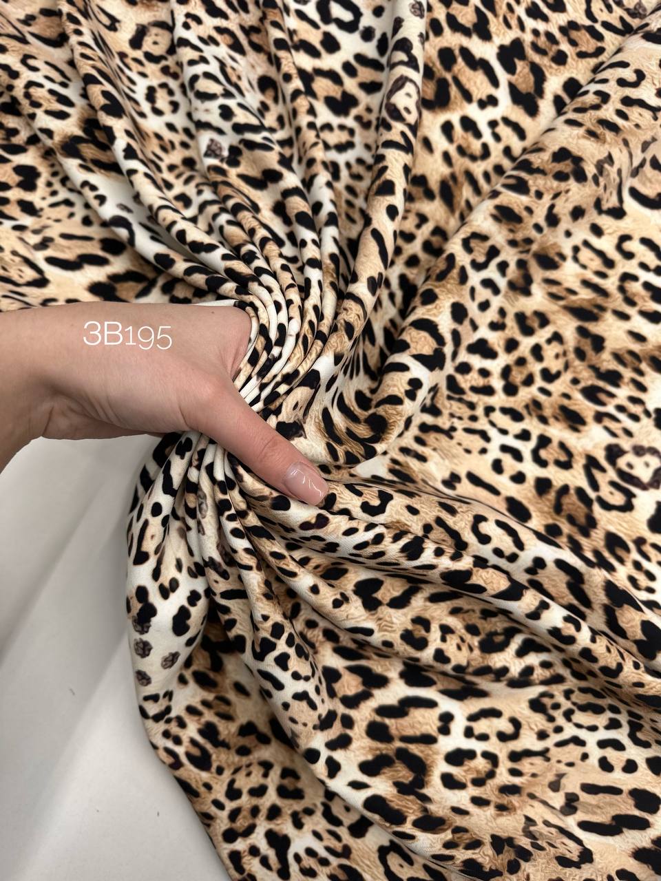 Леопард 5366547622329968352