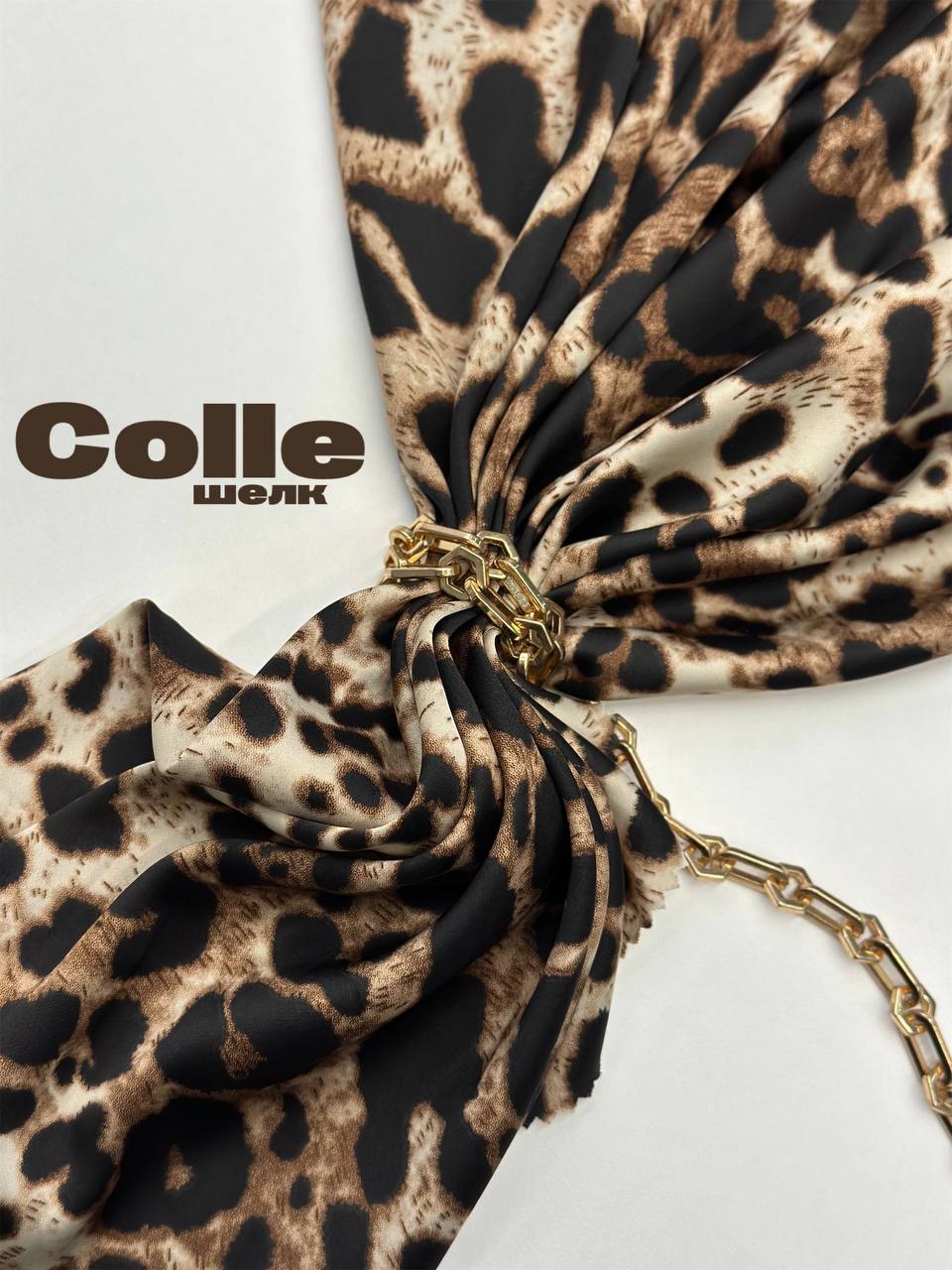 Леопард photo_2025-12-20_11-19-53