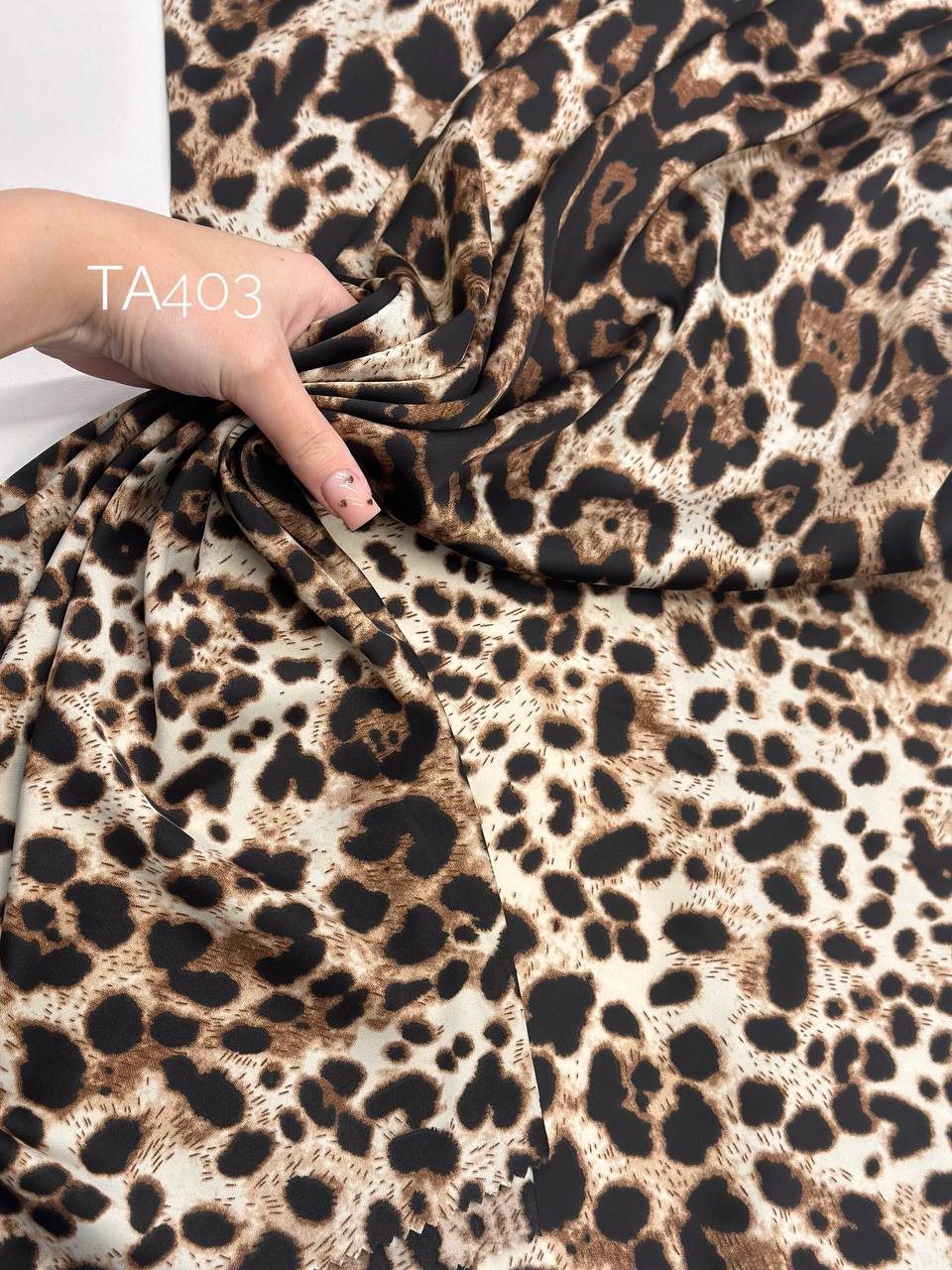 Леопард photo_2025-12-20_11-20-02