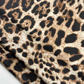 Леопард photo_2025-12-20_11-20-04