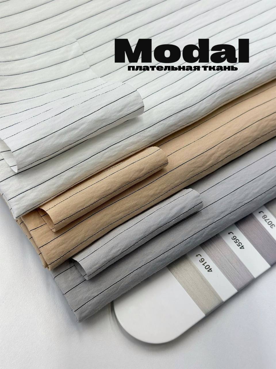 MODAL photo_2026-01-13_14-52-13