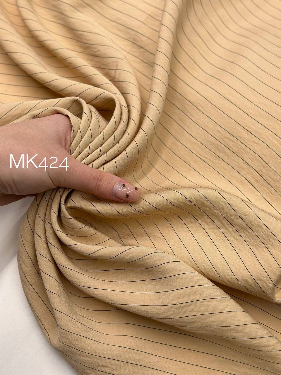 MODAL photo_2026-01-13_14-52-16