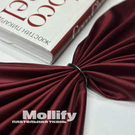 MOLLIFY photo_2025-12-10_09-29-28